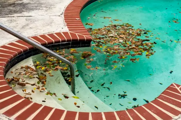 Por Que a Água da Piscina Fica Verde: Causas e Soluções