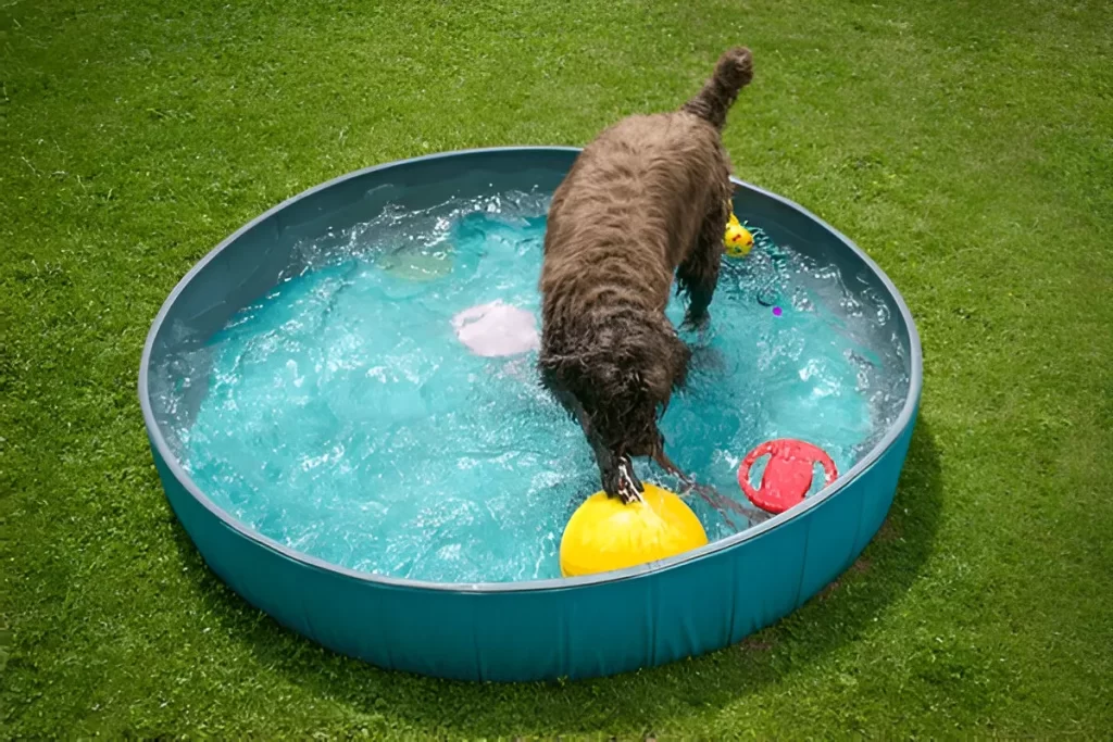 Grama Artificial ou Natural para sua Piscina: Qual Escolher?